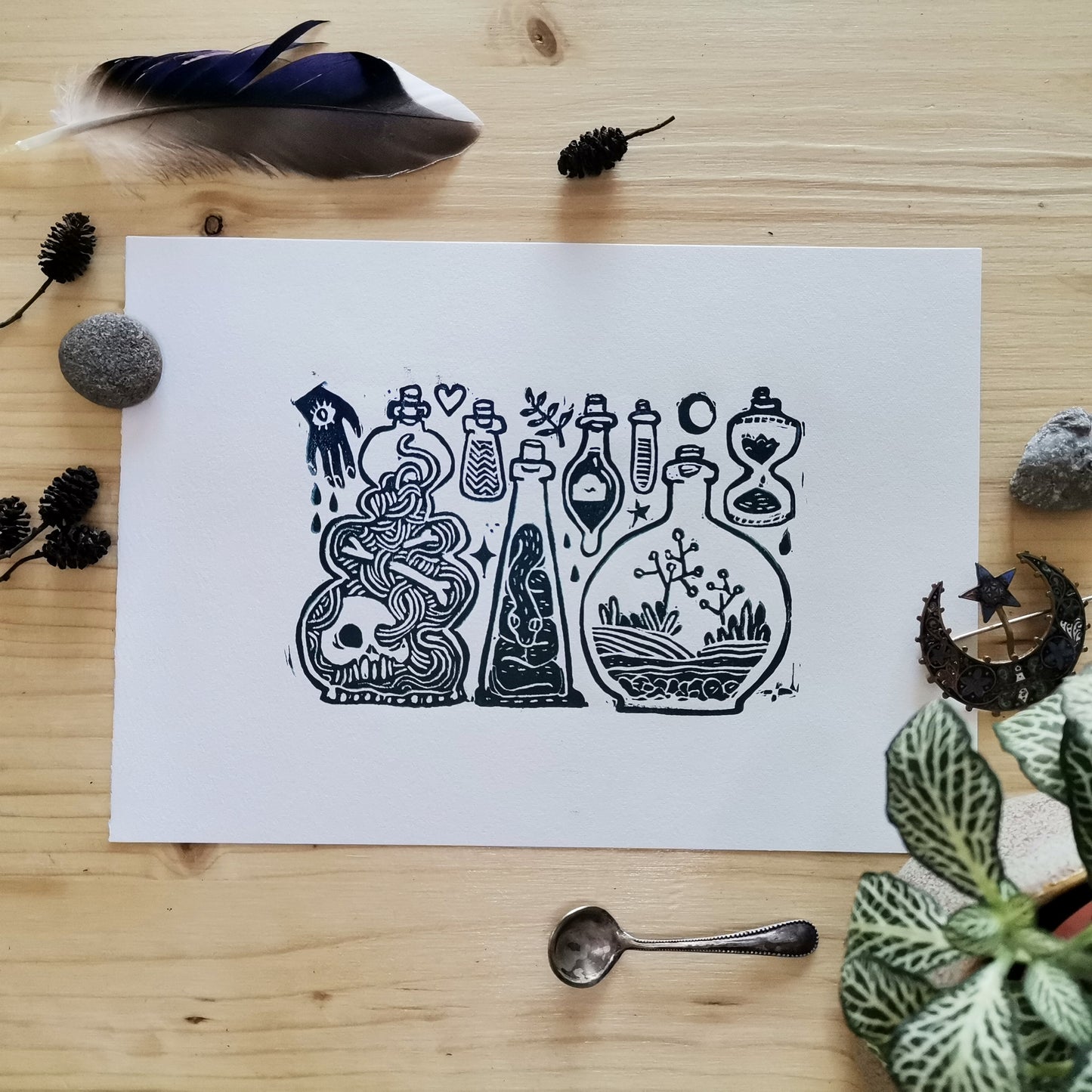Cabinet de Curiosité (A5)