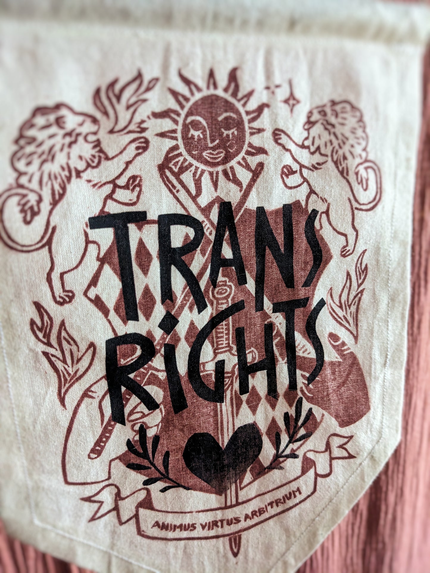 Trans Rights - Bannière Poudlard