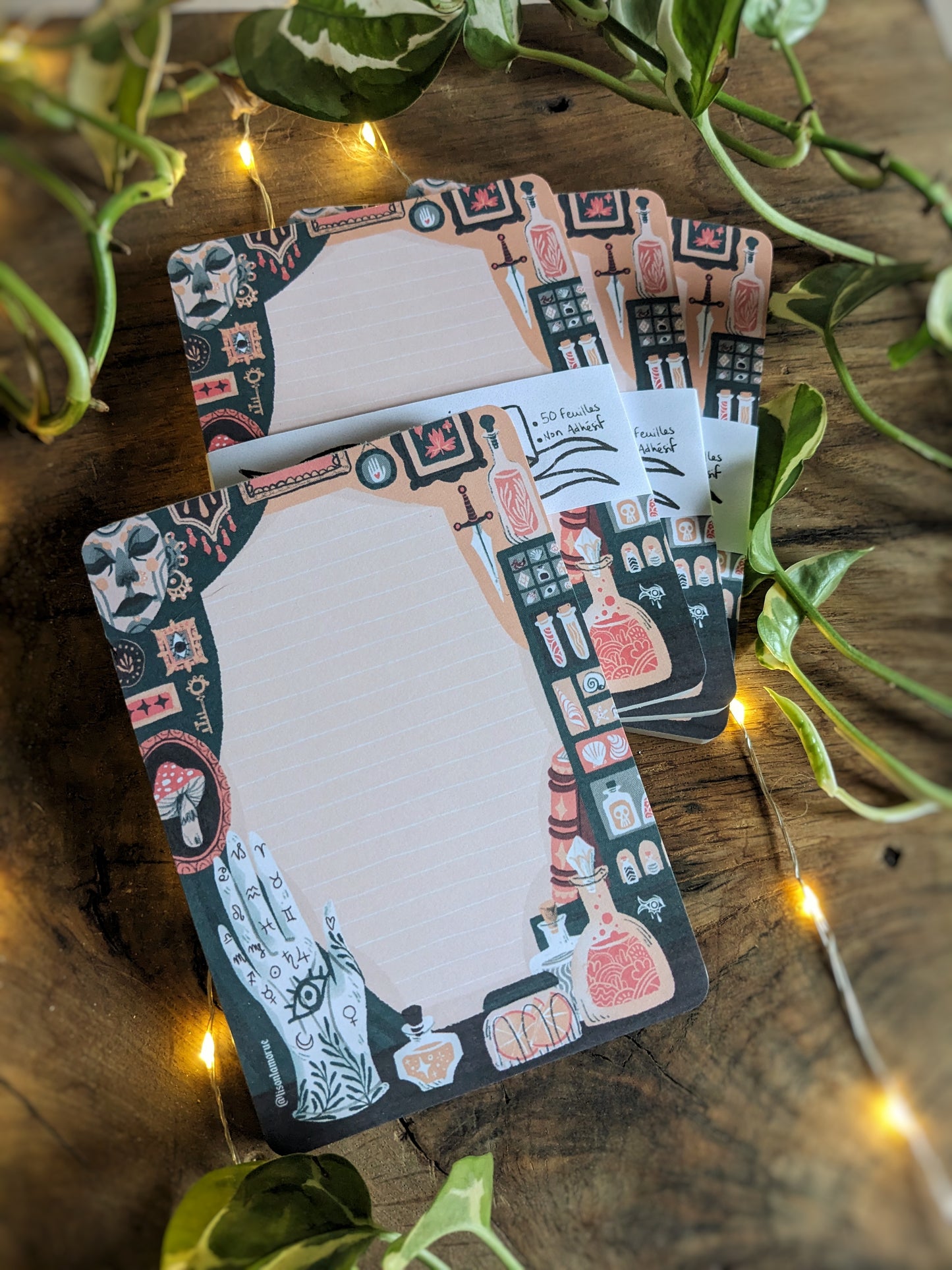 Bloc-Note Cabinet de Curiosité (A6)