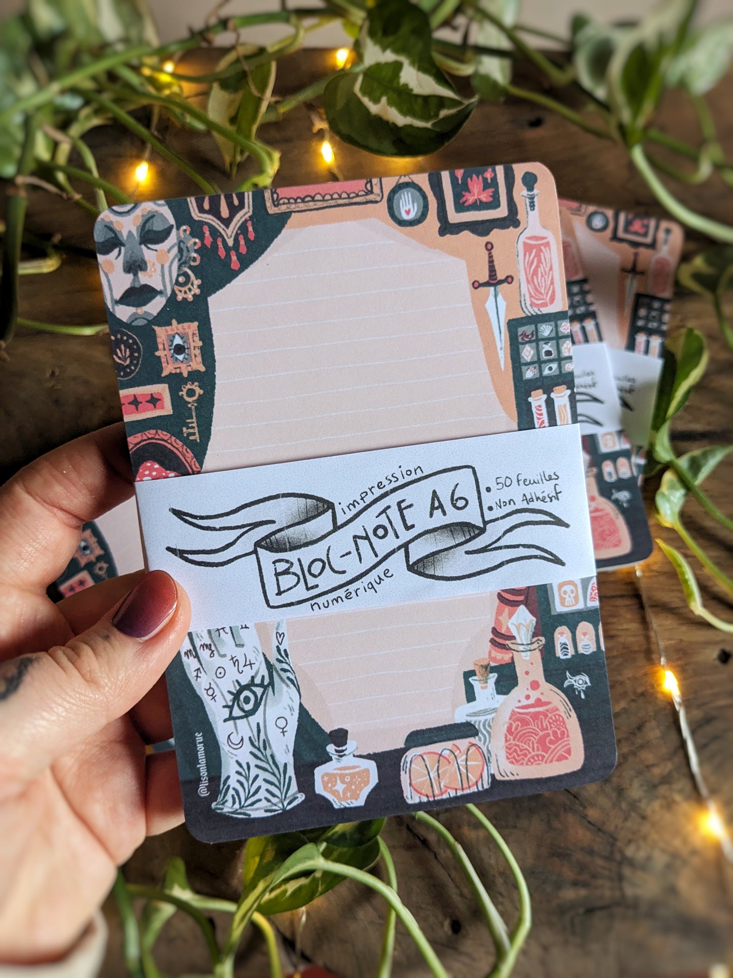 Bloc-Note Cabinet de Curiosité (A6)