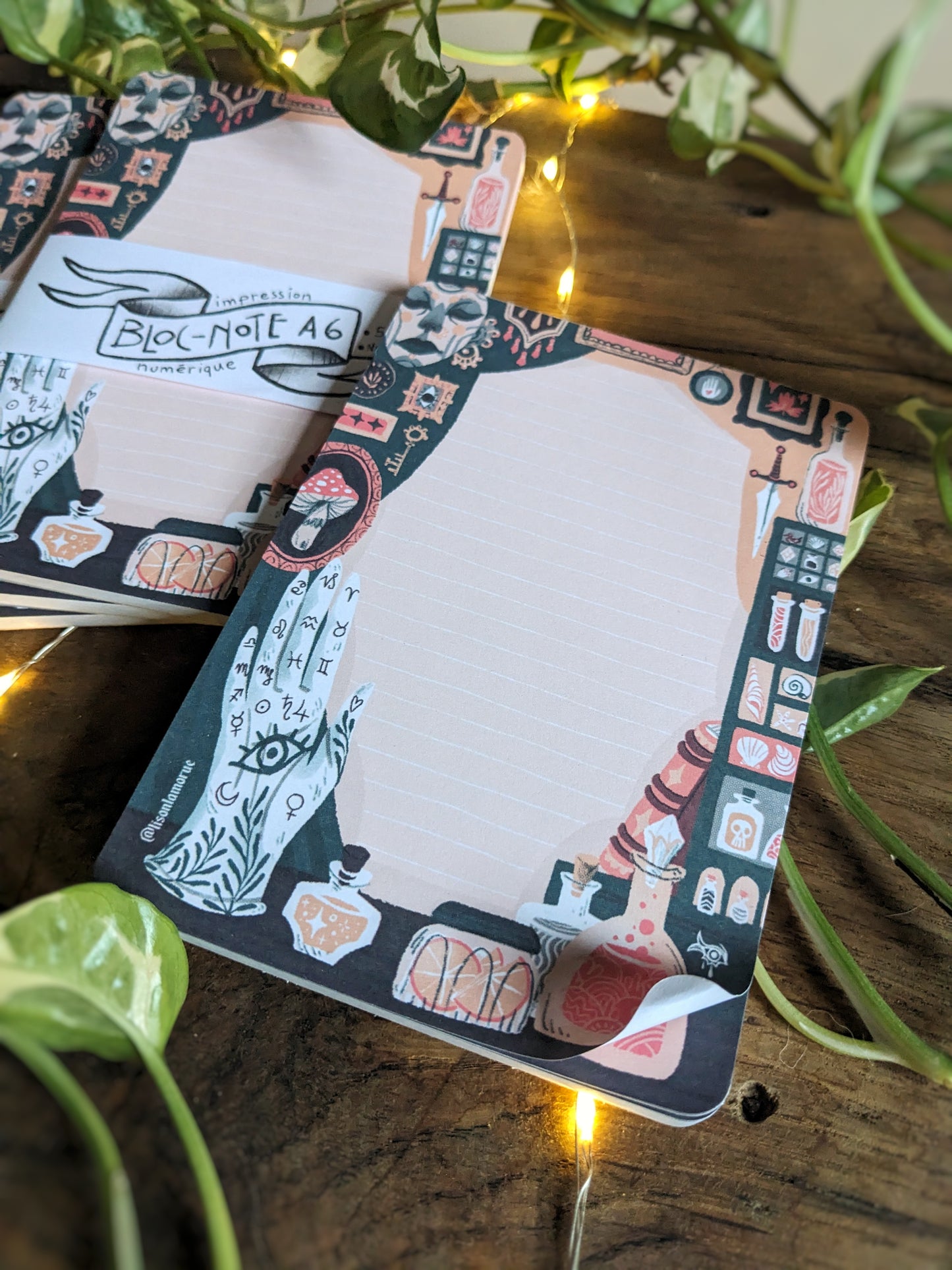 Bloc-Note Cabinet de Curiosité (A6)