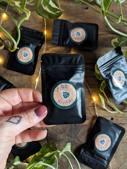 Fiole Mystère - Phone Charm