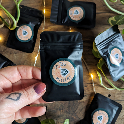 Fiole Mystère - Phone Charm