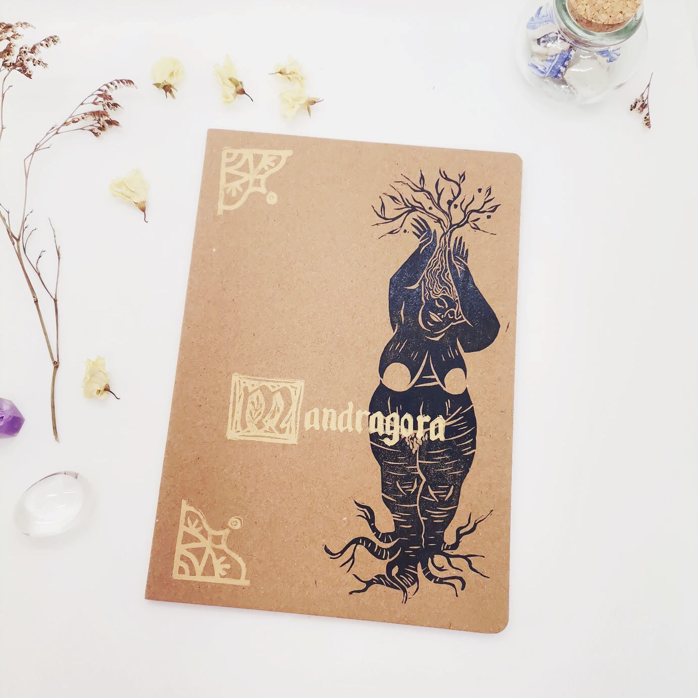 Mandragora - Carnets de Note